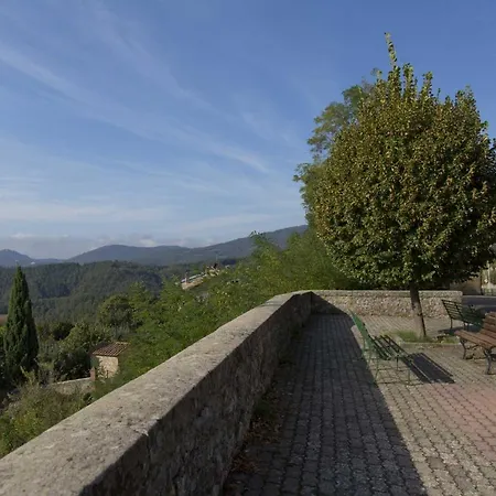 La Via Dell'oliviera