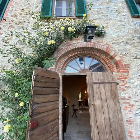 La Via Dell'oliviera *