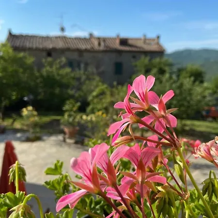 La Via Dell'oliviera Farm stay