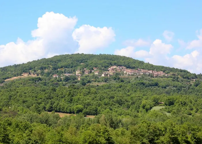 La Via Dell'oliviera 农家乐 *