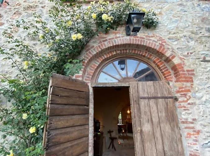 La Via Dell'oliviera *